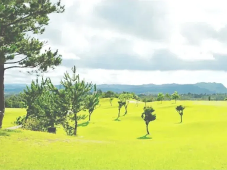 あなたにお願いしたいお仕事についての画像