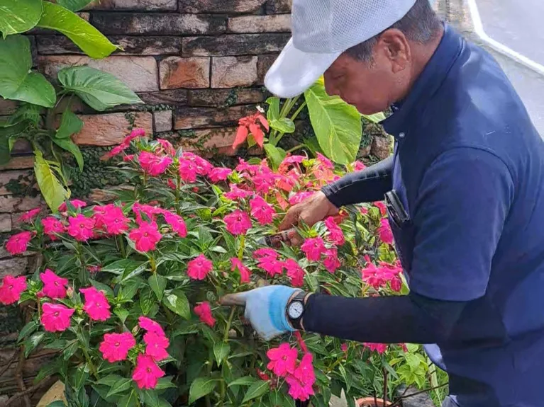 植栽管理スタッフ【ゴルフコース内の植栽の維持管理やメンテナンスなど】の画像